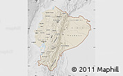 Shaded Relief Map of Ecuador, lighten, desaturated