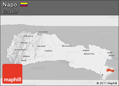 Gray 3D Map of Napo, single color outside
