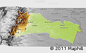 Physical 3D Map of Napo, desaturated