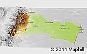 Physical 3D Map of Napo, lighten, desaturated