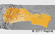 Political Shades 3D Map of Napo, desaturated