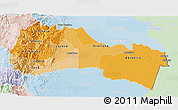 Political Shades 3D Map of Napo, lighten