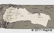 Shaded Relief 3D Map of Napo, darken
