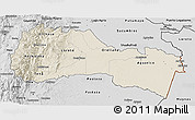 Shaded Relief 3D Map of Napo, desaturated
