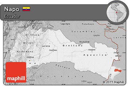 Gray Map of Napo