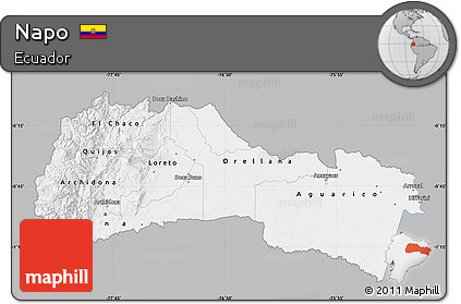 Gray Map of Napo, single color outside