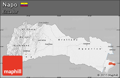 Gray Map of Napo, single color outside