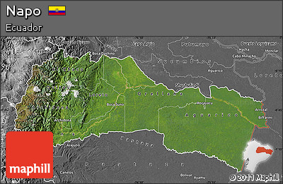 Satellite Map of Napo, desaturated