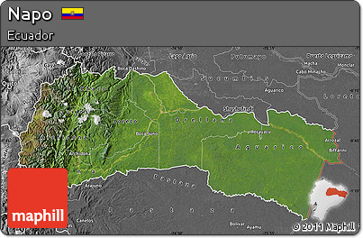 Satellite Map of Napo, desaturated