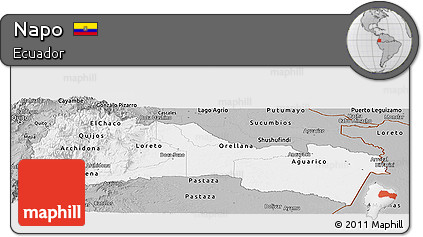 Gray Panoramic Map of Napo