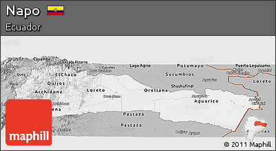 Gray Panoramic Map of Napo