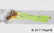 Physical Panoramic Map of Napo, lighten, desaturated