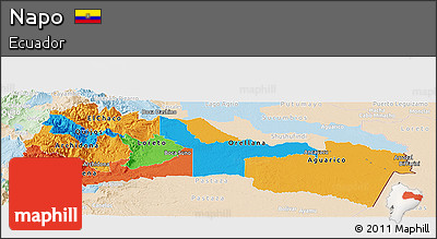 Political Panoramic Map of Napo, lighten