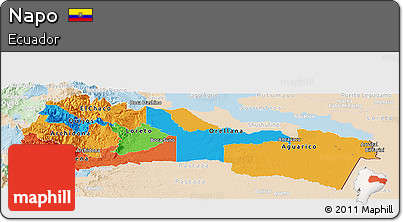 Political Panoramic Map of Napo, lighten
