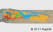 Political Panoramic Map of Napo, semi-desaturated