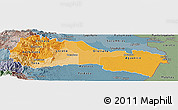 Political Shades Panoramic Map of Napo, semi-desaturated