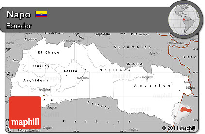 Gray Simple Map of Napo