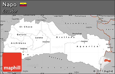 Gray Simple Map of Napo