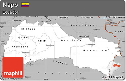 Gray Simple Map of Napo