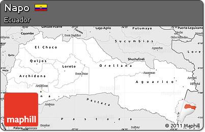 Silver Style Simple Map of Napo