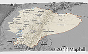 Shaded Relief Panoramic Map of Ecuador, darken, desaturated