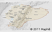 Shaded Relief Panoramic Map of Ecuador, lighten, desaturated