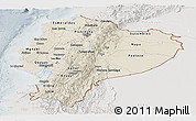 Shaded Relief Panoramic Map of Ecuador, lighten, semi-desaturated