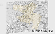 Shaded Relief 3D Map of Quito, desaturated