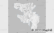 Gray Map of Quito, single color outside