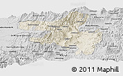 Shaded Relief Panoramic Map of Quito, desaturated