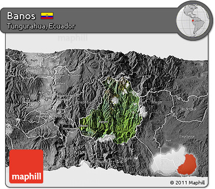 Satellite 3D Map of Banos, desaturated