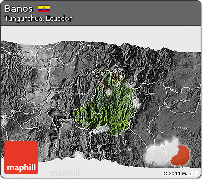 Satellite 3D Map of Banos, desaturated