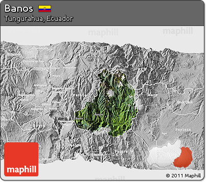 Satellite 3D Map of Banos, lighten, desaturated