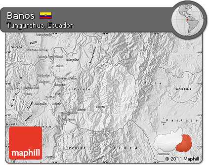 Silver Style Map of Banos