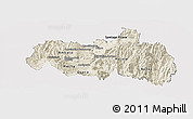 Shaded Relief Panoramic Map of Tungurahua, cropped outside