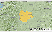 Savanna Style 3D Map of La Concordia