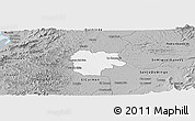 Gray Panoramic Map of La Concordia