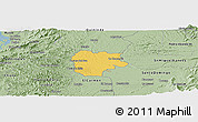 Savanna Style Panoramic Map of La Concordia