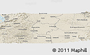 Shaded Relief Panoramic Map of La Concordia