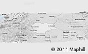 Silver Style Panoramic Map of La Concordia