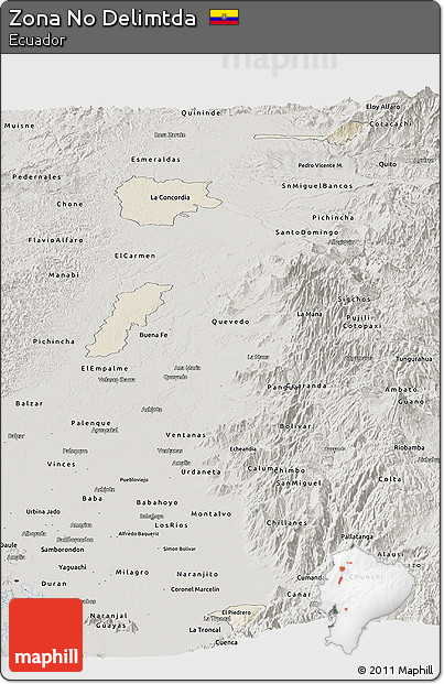Shaded Relief Panoramic Map of Zona No Delimtda, semi-desaturated
