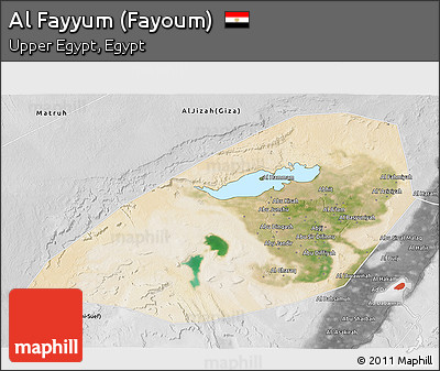 Satellite 3D Map of Al Fayyum (Fayoum), desaturated