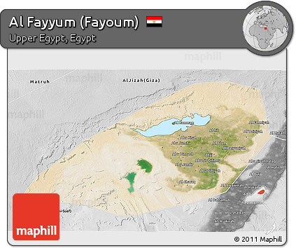 Satellite 3D Map of Al Fayyum (Fayoum), desaturated