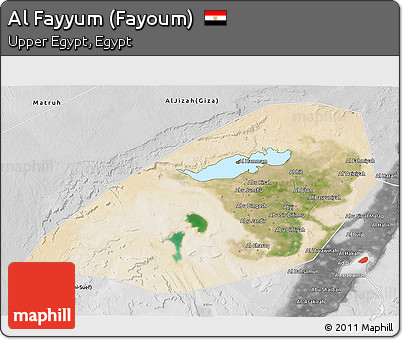 Satellite 3D Map of Al Fayyum (Fayoum), desaturated