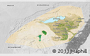 Satellite 3D Map of Al Fayyum (Fayoum), desaturated