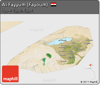 Satellite 3D Map of Al Fayyum (Fayoum), single color outside
