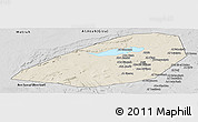 Shaded Relief Panoramic Map of Al Fayyum (Fayoum), desaturated