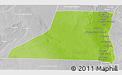 Physical 3D Map of Al Minya (Menia), lighten, desaturated