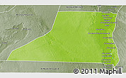 Physical 3D Map of Al Minya (Menia), semi-desaturated