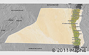 Satellite 3D Map of Al Minya (Menia), darken, desaturated